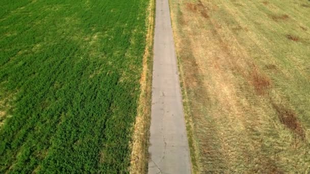 2つの農業分野を分けるコンクリート未舗装道路に沿って撮影された追跡 ドイツ — ストック動画
