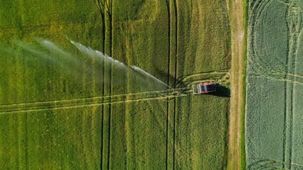 夏に農業分野で配布する灌漑と散水システムの無人機とビデオ ドイツ — ストック動画