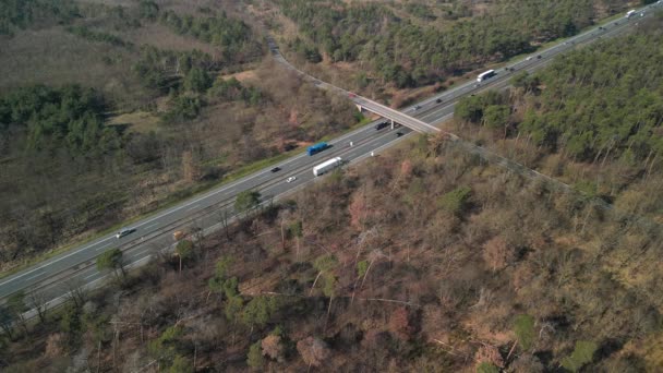 在一条交通和碳足迹都很高的公路上 病树和森林凋零 就像无人驾驶飞机的空中观看录像 — 图库视频影像