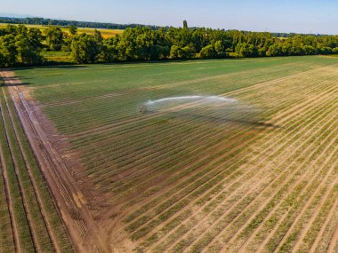 Sulama fıskiyeli alan yukarıdan görüldü, arkadan ışıklandırıldı, Almanya