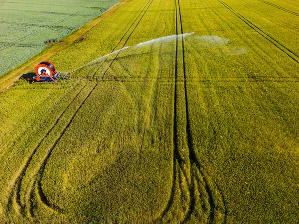 Campo Com Aspersor Irrigação Visto Cima Com Retroiluminação Alemanha — Fotografia de Stock