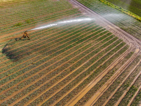 Irrigação Campo Com Equipamento Móvel Seca Verão Vista Aérea Alemanha — Fotografia de Stock