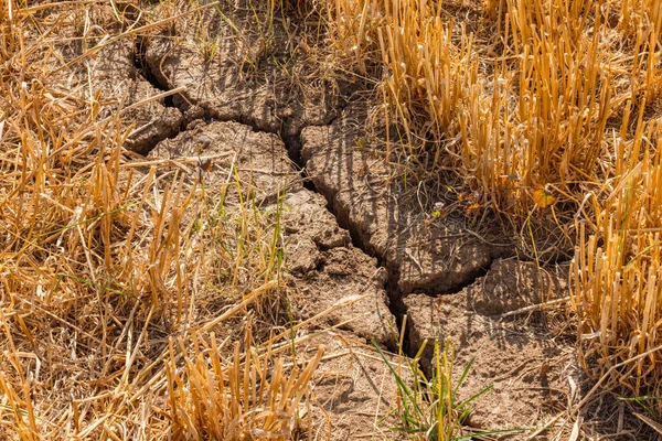 stock image Cracks on a harvested stubble field after heat and long drought in climate crisis, Germany