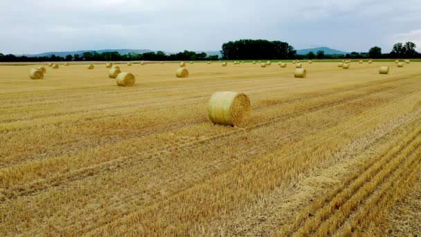 Luchtopname Van Een Veld Met Stoppels Strobalen Herfst Oogst — Stockvideo