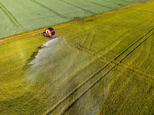 Irrigatore Irrigazione Getto Acqua Campo Con Grano Germania — Foto Stock
