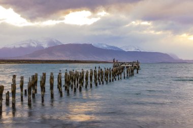 Puerto Natales 'teki eski rıhtımdaki iskeleden uzun süre önce, arka plandaki fiyort Ultima Esperanza, Şili, Patagonya, Güney Amerika' daki dağların önündeki kuşlarla birlikte.