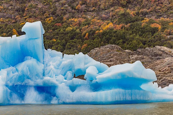 Striking Blue Iceberg Lago Grey Front Mountainside Autumnal Vegetation Torres — Stock Photo, Image