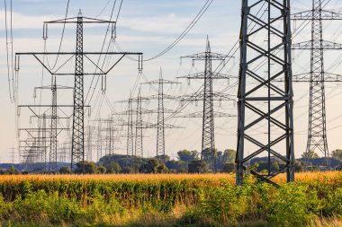 Sayısız yüksek voltajlı sütun ve elektrik hatları ufka kadar uzanan mısır tarlasında gün batımında manzarayı bozuyor.