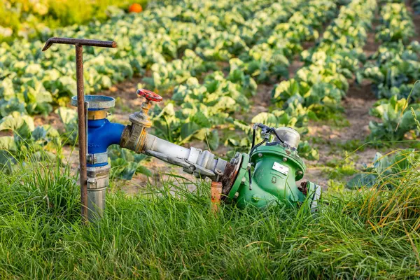 A water pump for field irrigation during drought exposed in front of an agricultural field with vegetables