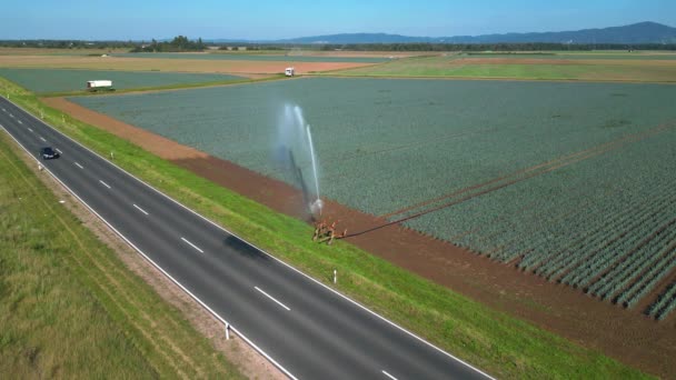 Tracking Shot Agricultural Fields Irrigation Water Distribution Climate Crisis Allemagne — Video