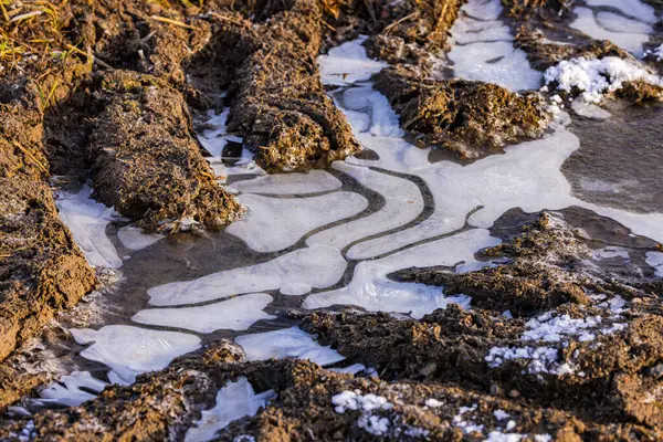 Puddle of frozen water in tractor tracks in a field with clods of earth in sunlight in winter