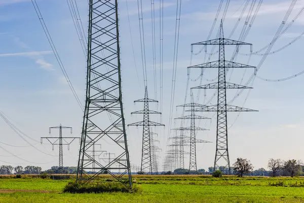 Elektrik direkleri gibi insan yapımı tekno küreler doğayı ve çevreyi bozuyor.