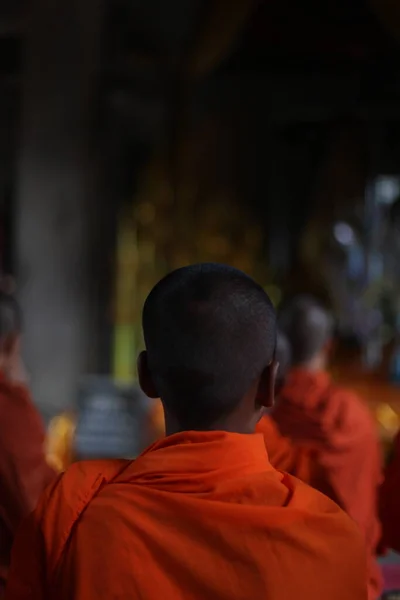 Kasım 2016 'da Siem Reap' teki Angkor Wat tapınağındaki mihrapta turuncu cübbeli genç Budist rahipler dua ediyor. Yüksek kalite fotoğraf