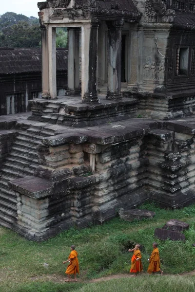 Turuncu cüppeli küçük Budist keşişler Kasım 2016 'da Angkor Wat, Siem Reap Kamboçya topraklarında yürüyorlar. Yüksek kalite fotoğraf