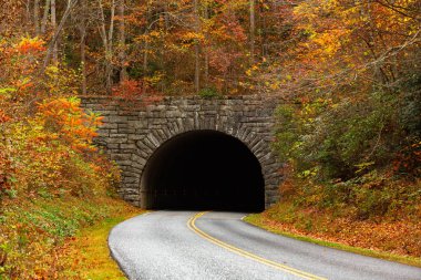 Kuzey Carolina 'daki Blue Ridge Parkway Sonbahar yaprakları
