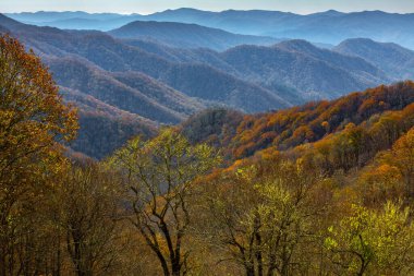 Newfound Gap Yolu 'ndaki Smokey Dağları' nda güzel bir sonbahar günü