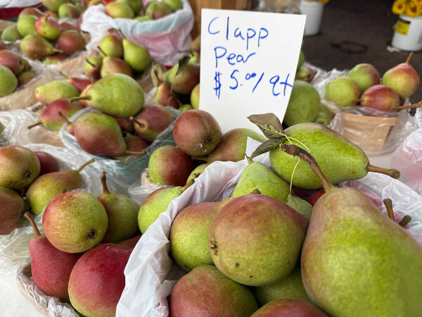 Visitors browse through stalls filled with fresh produce, including Clapp pears, at the lively farmers market in Holland, Michigan on a sunny summer day.