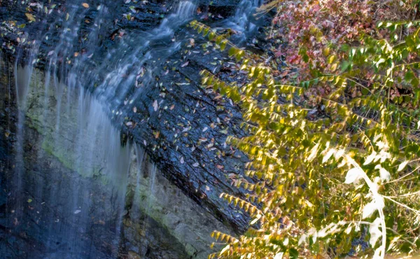 Millikin Falls Quarry Trails Metro Park Columbus Ohio — Stock Photo, Image