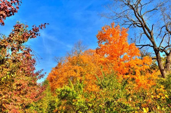 Autumn Quarry Trails Metro Park Columbus Ohio — 스톡 사진