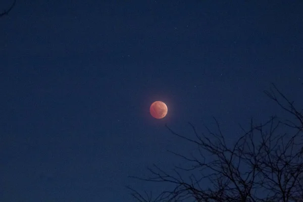 Лунное Затмение Ноября 2022 Года Колумбус Огайо — стоковое фото