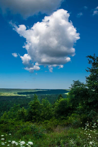 stock image Deadman's Hill Overlook in Summer, Michigan