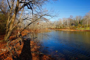 Donegal Cliffs Park Sonbahar, Dublin, Ohio