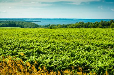 Old Mission Peninsula, North of Traverse City, Michigan clipart