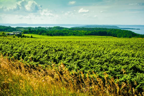 Eski Misyon Yarımadası, Kuzey Traverse City, Michigan