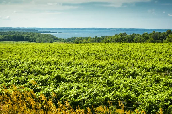 Eski Misyon Yarımadası, Kuzey Traverse City, Michigan