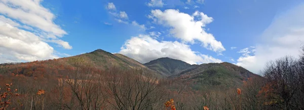 Національний Парк Great Smoky Mountains Теннессі — стокове фото