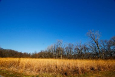 Scioto Grove Metro Parkı Sonbaharda, Grove City, Ohio