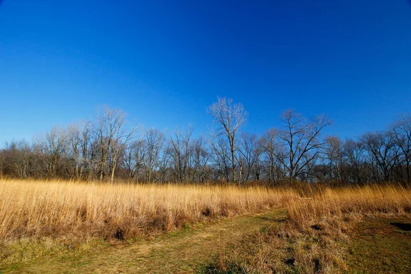 Scioto Grove Metro Parkı Sonbaharda, Grove City, Ohio