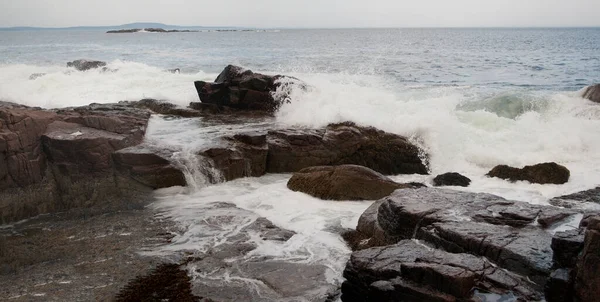 Rocky Coastline, Acadia Ulusal Parkı, Maine