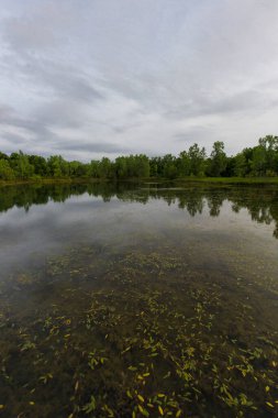 M.L. Kırmızı Trabue Doğa Koruma Alanı, Dublin, Ohio