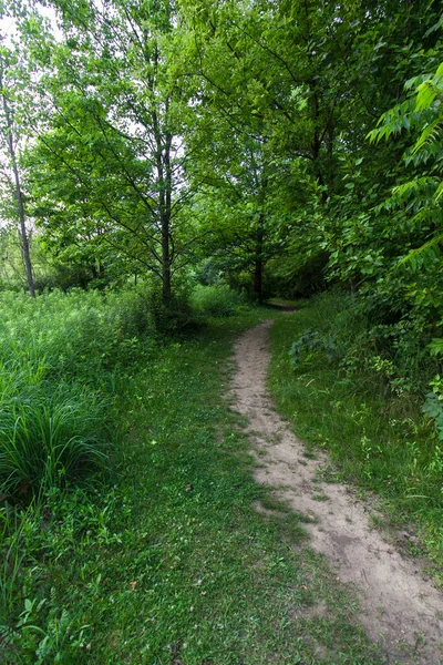 M.L. Kırmızı Trabue Doğa Koruma Alanı, Dublin, Ohio