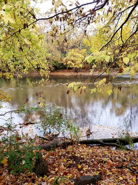 Sonbaharda Olentangy Nehri manzarası, Columbus, Ohio