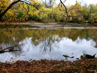 Sonbaharda Olentangy RiOlentangy Nehri, Kolomb, Sonbaharda Ohiover, Kolomb, Ohio