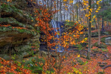 Sonbaharda Aşağı Dundee Şelalesi manzarası, Beach City Wilderness Area, Ohio