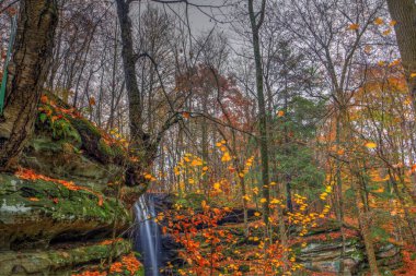 Sonbaharda Aşağı Dundee Şelalesi manzarası, Beach City Wilderness Area, Ohio