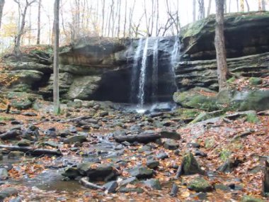 Sonbaharda Aşağı Dundee Şelalesi manzarası, Beach City Wilderness Area, Ohio