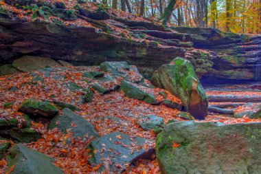 Sonbaharda Dundee Şelalesi manzarası, Beach City Wilderness Area, Ohio
