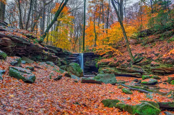 Sonbaharda Dundee Şelalesi manzarası, Beach City Wilderness Area, Ohio