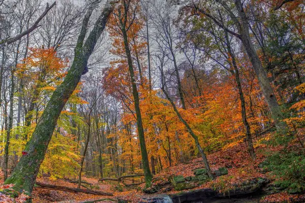 Sonbaharda Dundee Şelalesi manzarası, Beach City Wilderness Area, Ohio