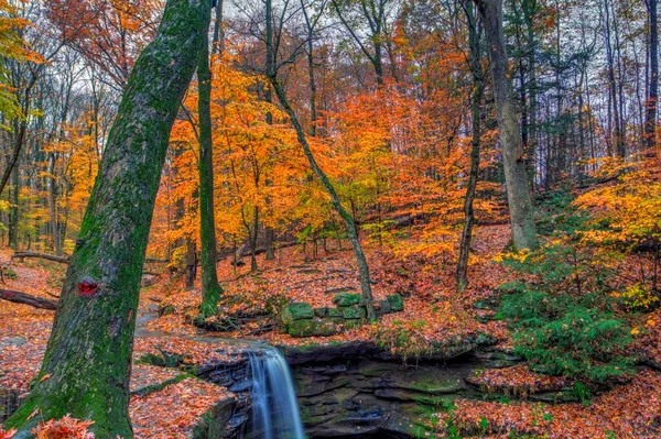 Sonbaharda Dundee Şelalesi manzarası, Beach City Wilderness Area, Ohio