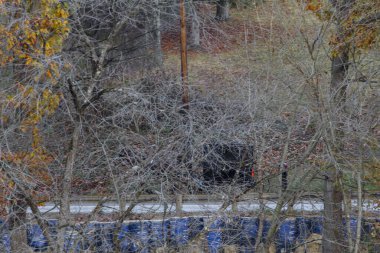 Sonbaharda Ohio 'da Taşra Yolu' nda Amish Buggy 'nin görüntüsü