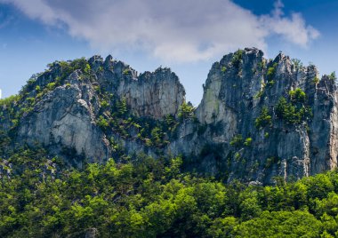 Seneca Rocks 'un Batı Virginia Yazı Manzarası