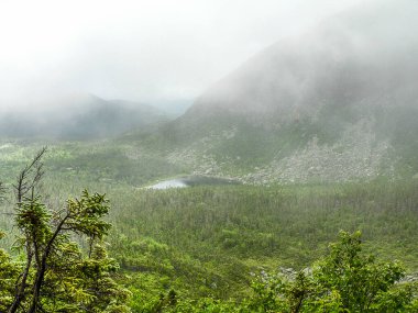 Yazın Baxter Eyalet Parkı, Maine