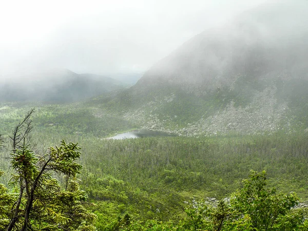 Yazın Baxter Eyalet Parkı, Maine