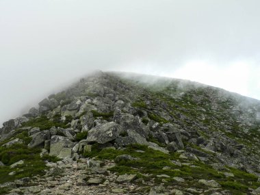 Yazın Baxter Eyalet Parkı, Maine