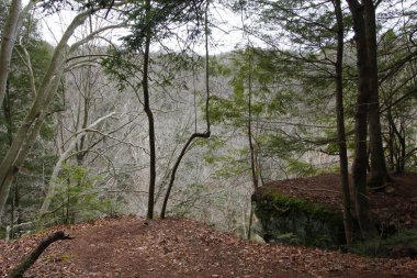 Fısıldayan Mağara, Hocking Hills Eyalet Parkı, Ohio